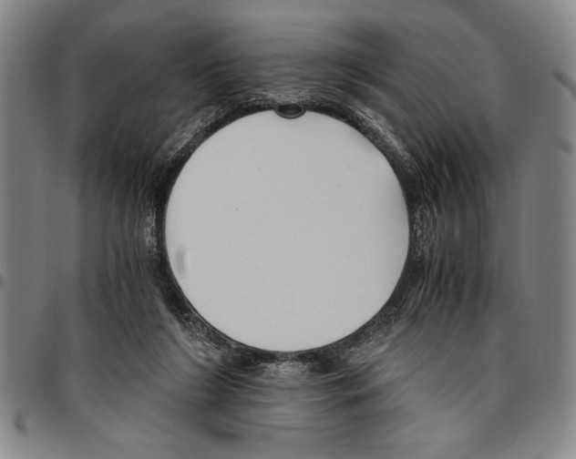 X0000096460212200802211134