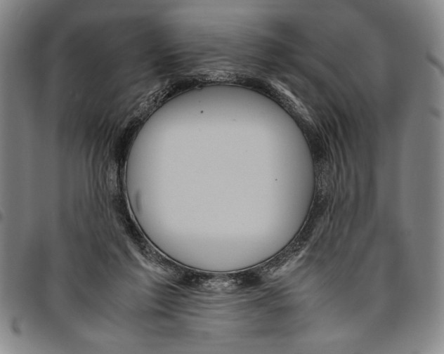 X0000096460213200802211134