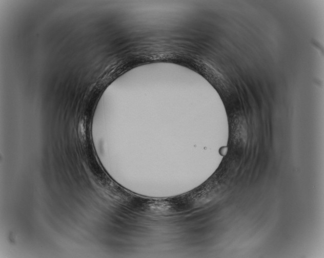 X0000096460214200802211134
