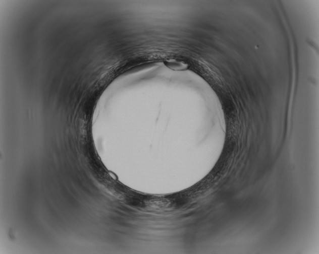 X0000096460215200802211134