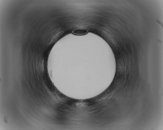 X0000096460216200802211134