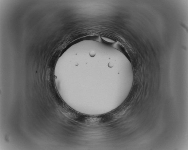 X0000096460217200802211134