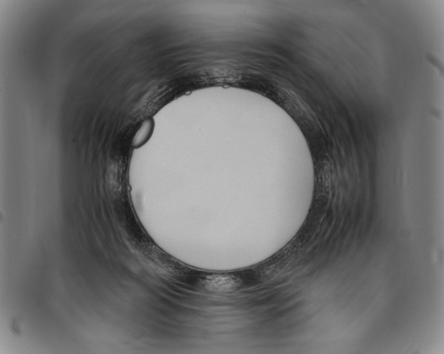 X0000096460218200802211134