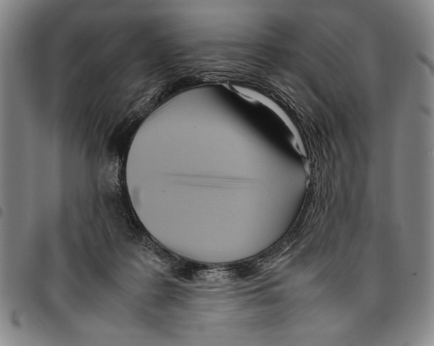 X0000096460219200802211134