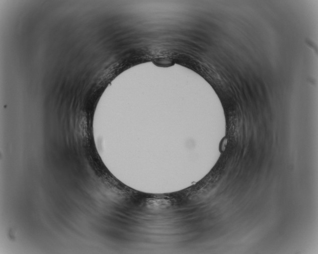 X0000096460220200802211134
