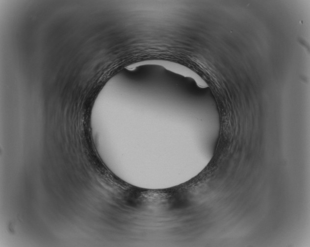 X0000096460221200802211134