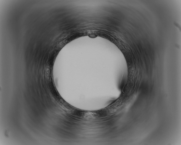 X0000096460222200802211134