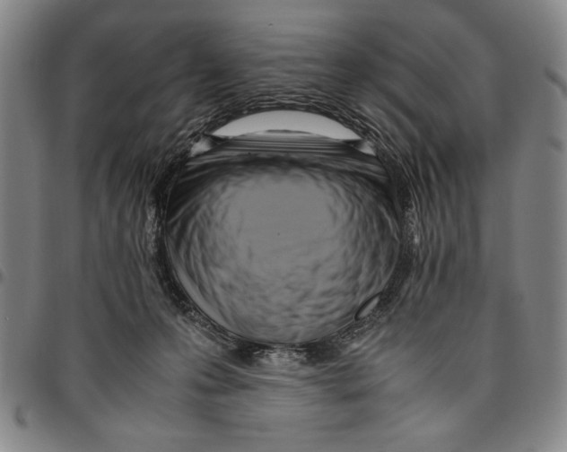 X0000096460223200802211134