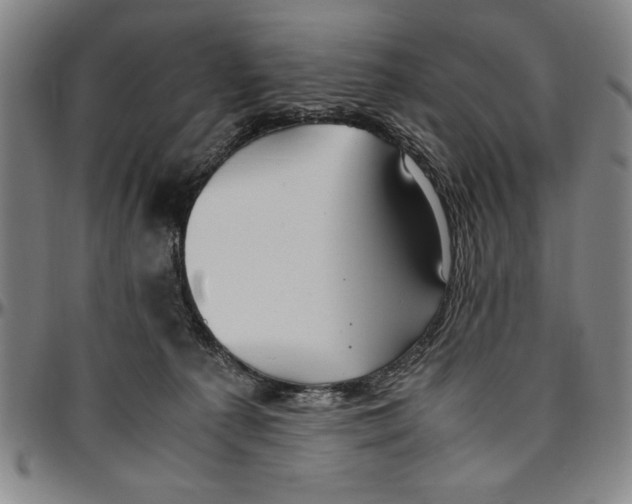 X0000096460225200802211133