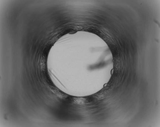 X0000096460226200802211133