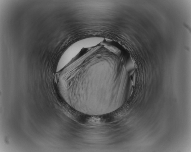 X0000096460227200802211133