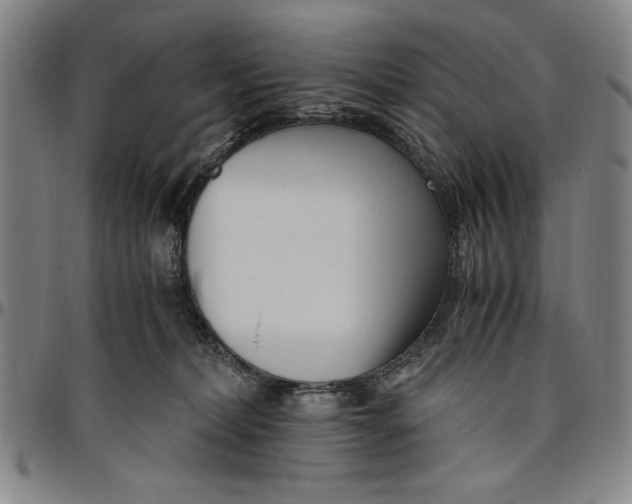 X0000096460228200802211133