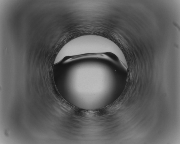 X0000096460229200802211133