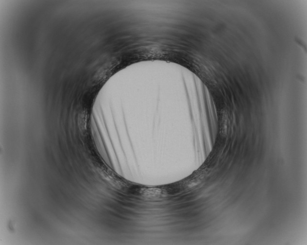 X0000096460230200802211133