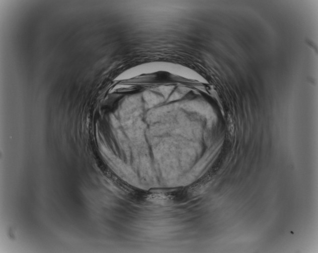 X0000096460231200802211133