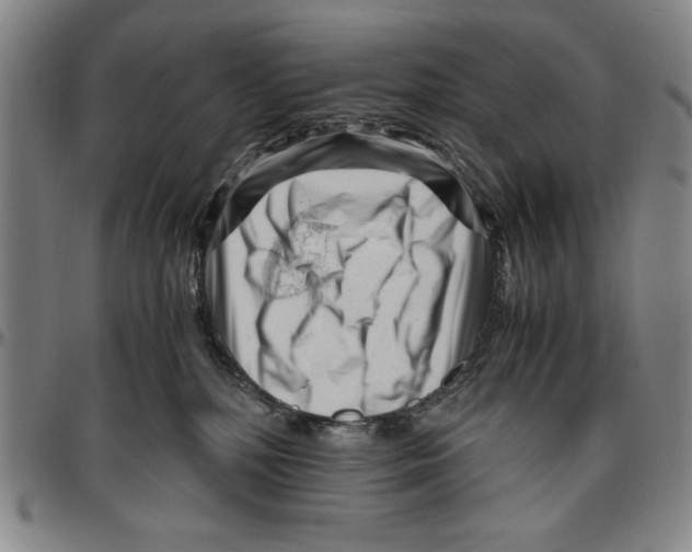 X0000096460232200802211133