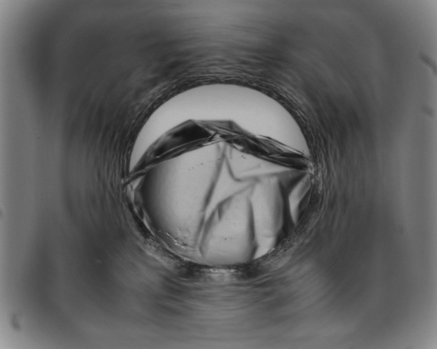 X0000096460233200802211133
