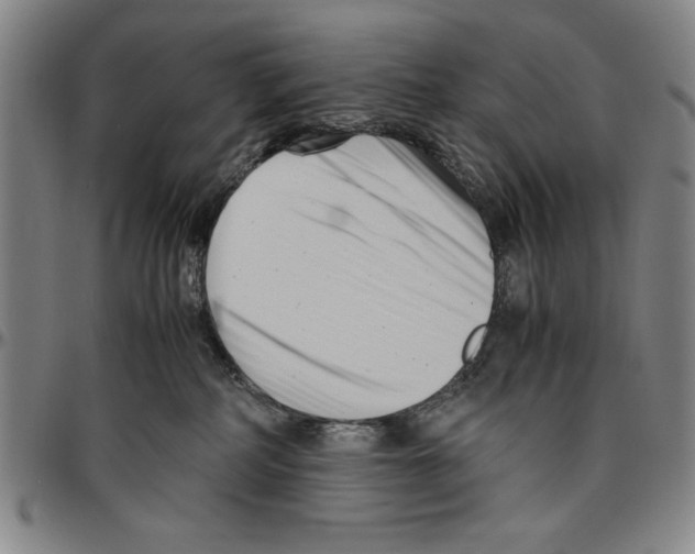 X0000096460234200802211133