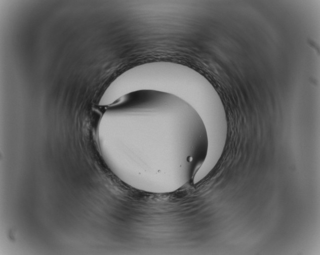 X0000096460235200802211133