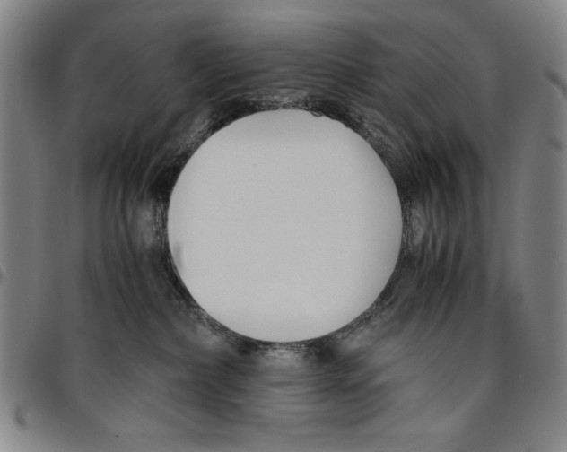 X0000096460236200802211133