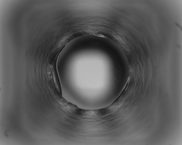 X0000096460237200802211133