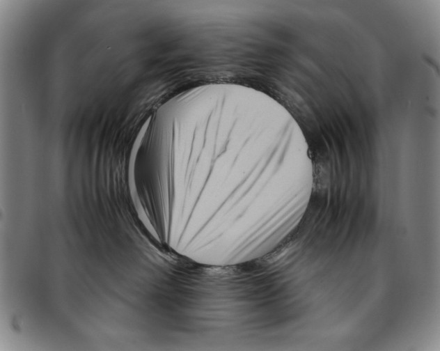 X0000096460238200802211133