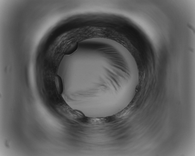 X0000096460239200802211133