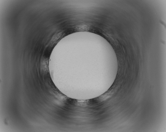X0000096460240200802211133