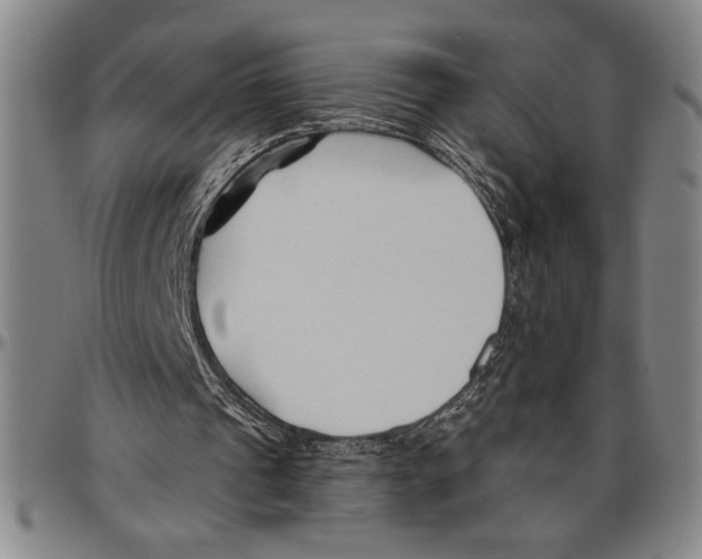 X0000096460241200802211132