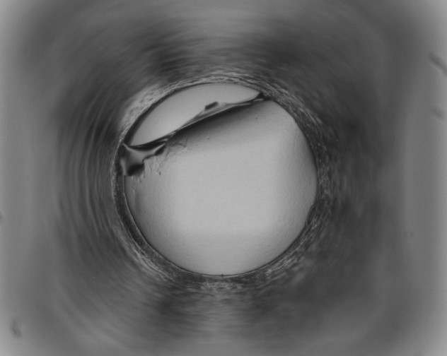 X0000096460242200802211133