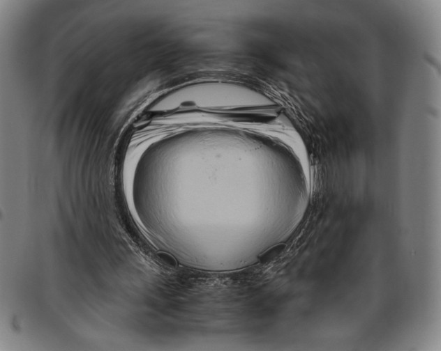 X0000096460243200802211133