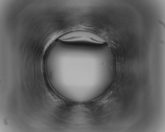 X0000096460244200802211133