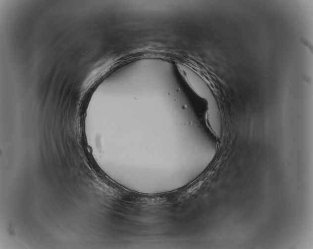 X0000096460245200802211133