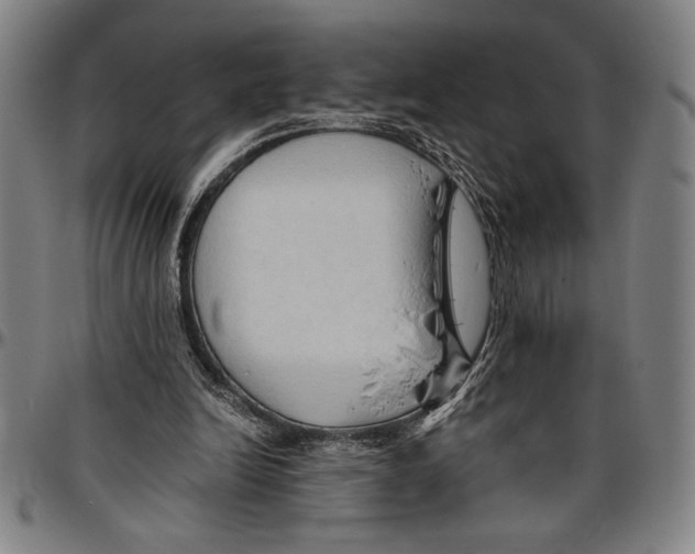 X0000096460246200802211133