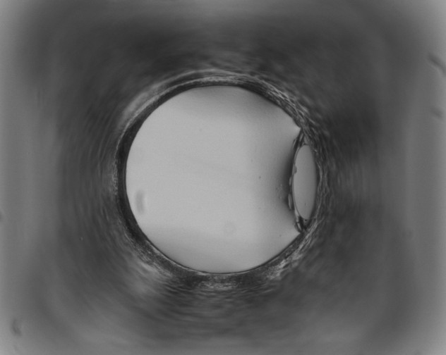 X0000096460247200802211133