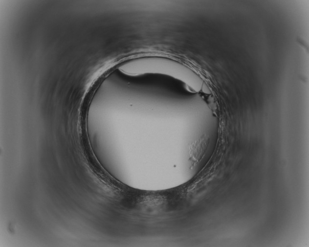 X0000096460248200802211133