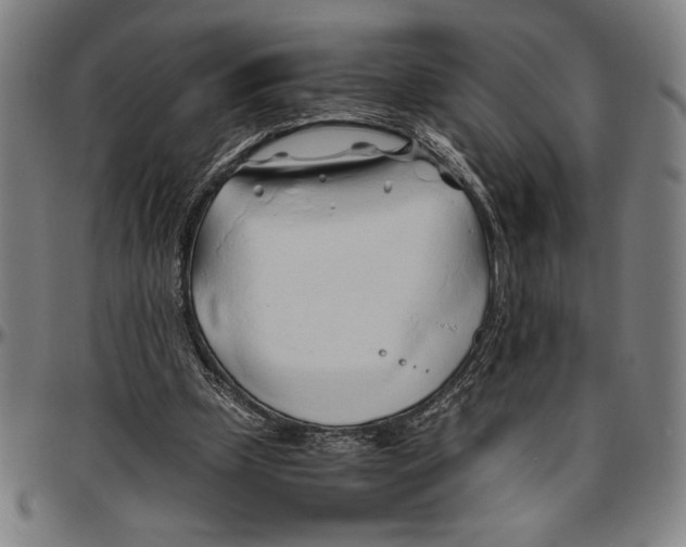 X0000096460249200802211133