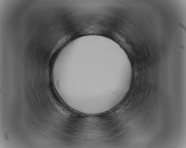 X0000096460250200802211133