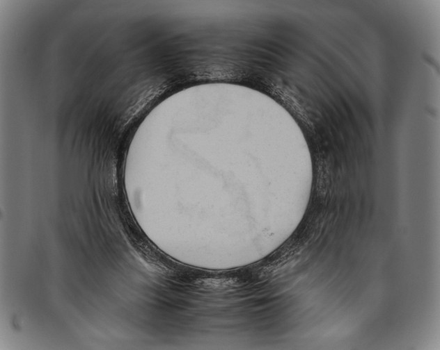 X0000096460251200802211133