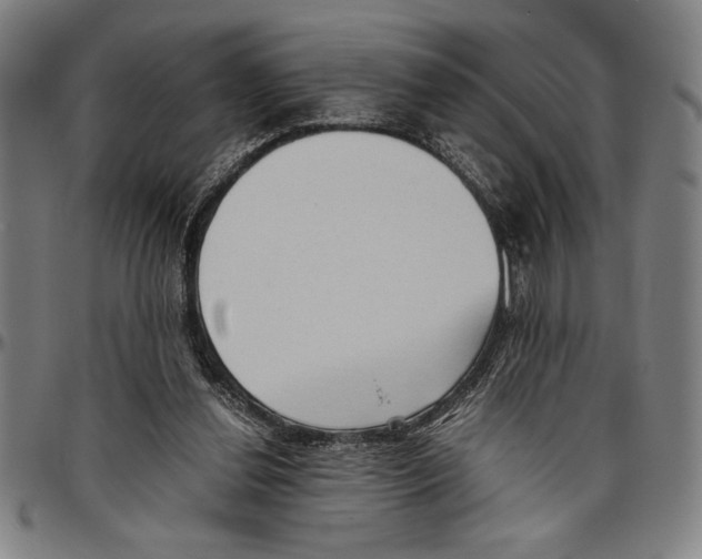 X0000096460252200802211133