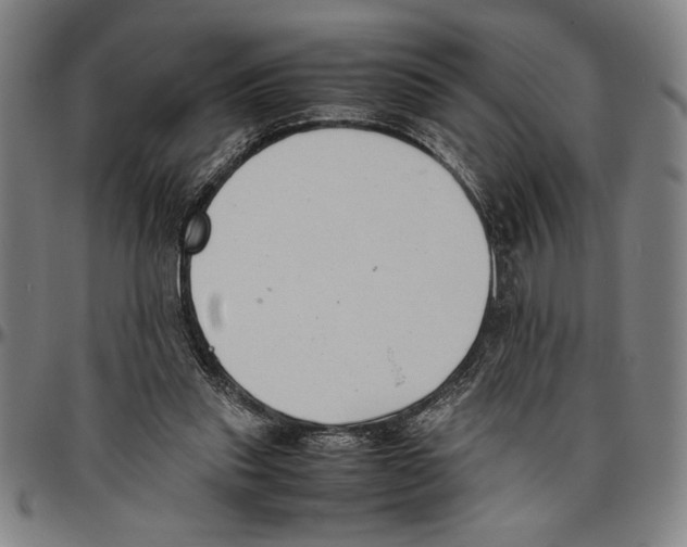 X0000096460253200802211133