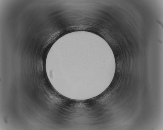 X0000096460254200802211133