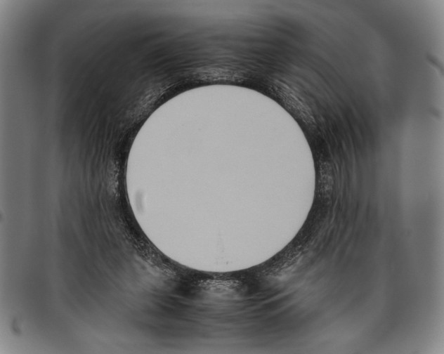 X0000096460255200802211133