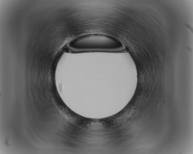 X0000096460256200802211133