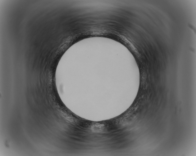 X0000096460257200802211133