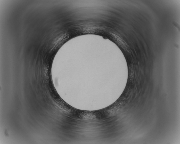 X0000096460258200802211133