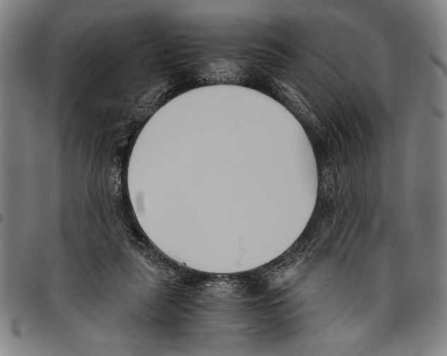 X0000096460259200802211133