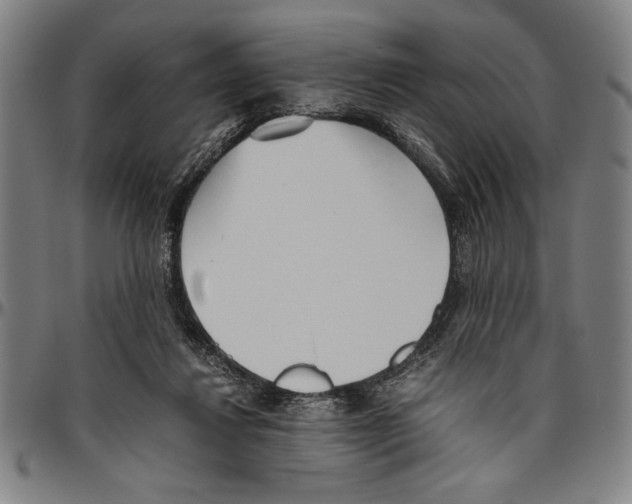 X0000096460260200802211133