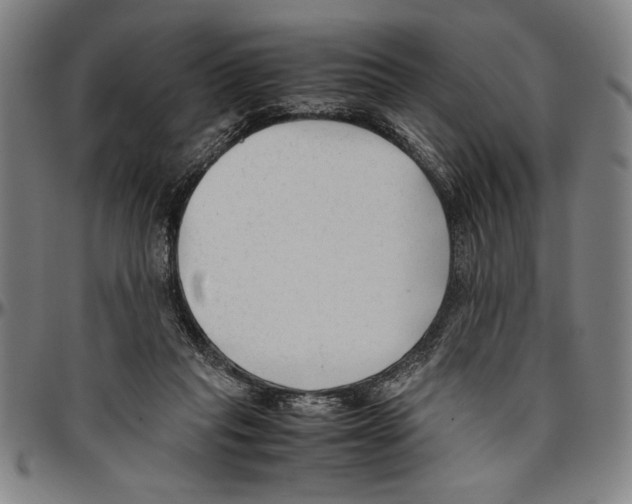 X0000096460261200802211133