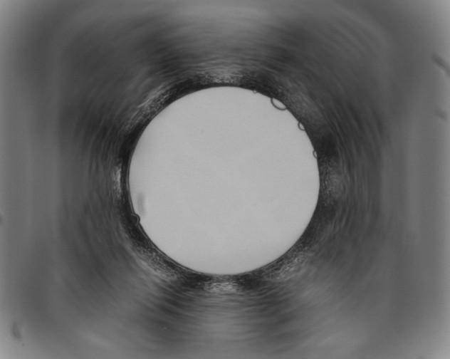 X0000096460262200802211133